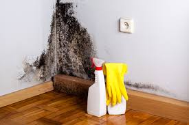 Mold Odor Removal Services in Carlinville, IL